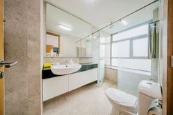 The Infiniti (D5), Condominium #484849661